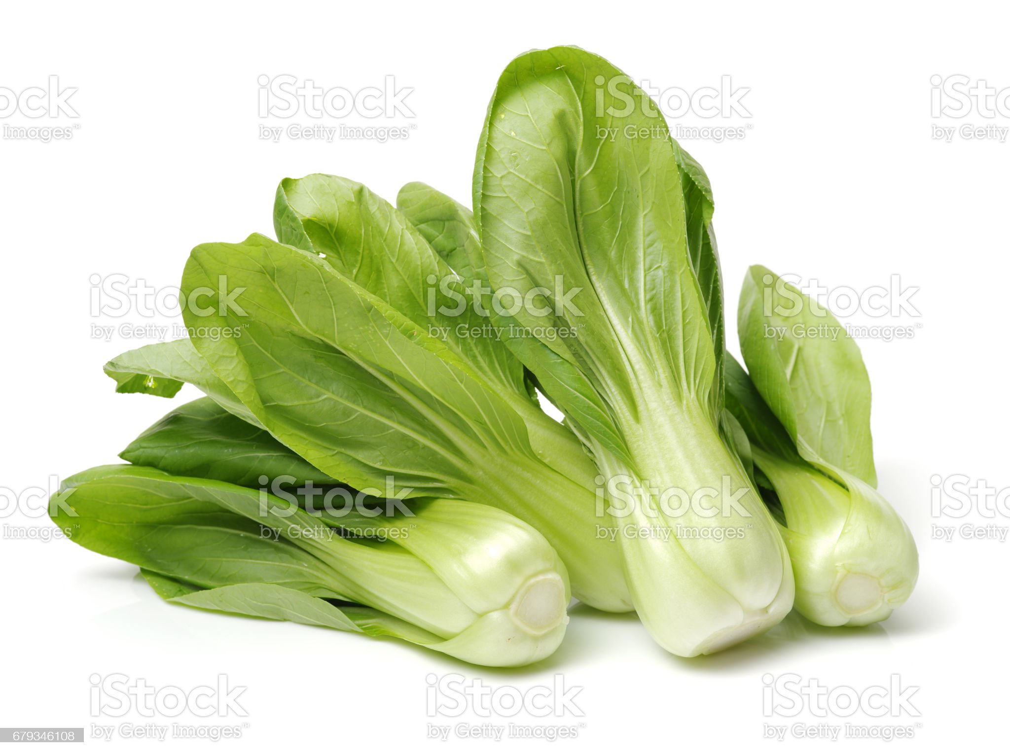 청경채