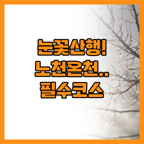 실패 없는 겨울 국내 여행 눈꽃 산행..