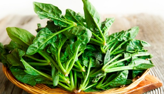 시니어 근력 유지에 좋은 식품 총정리