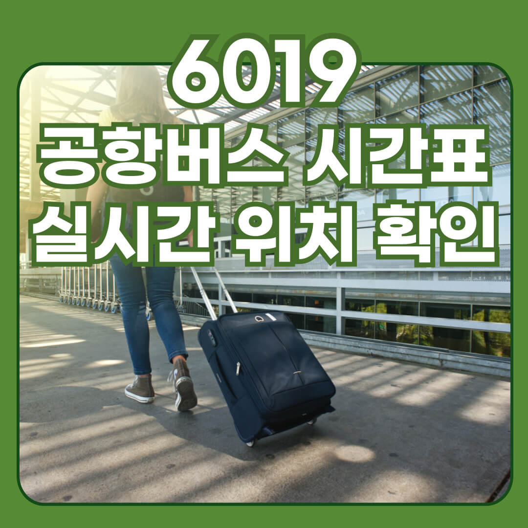 6019 공항버스 시간표, 실시간 위치, 요금, 노선도, 소요시간