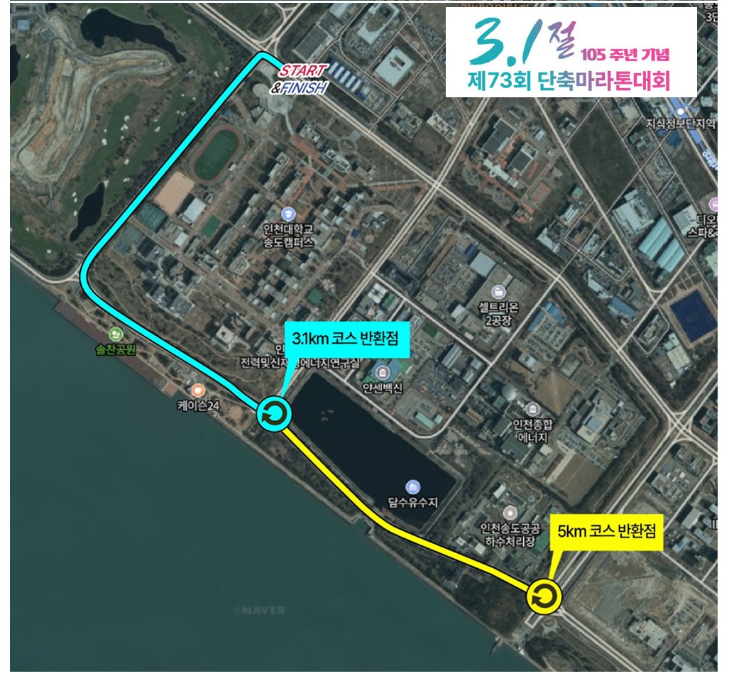 5km코스-3.1km코스