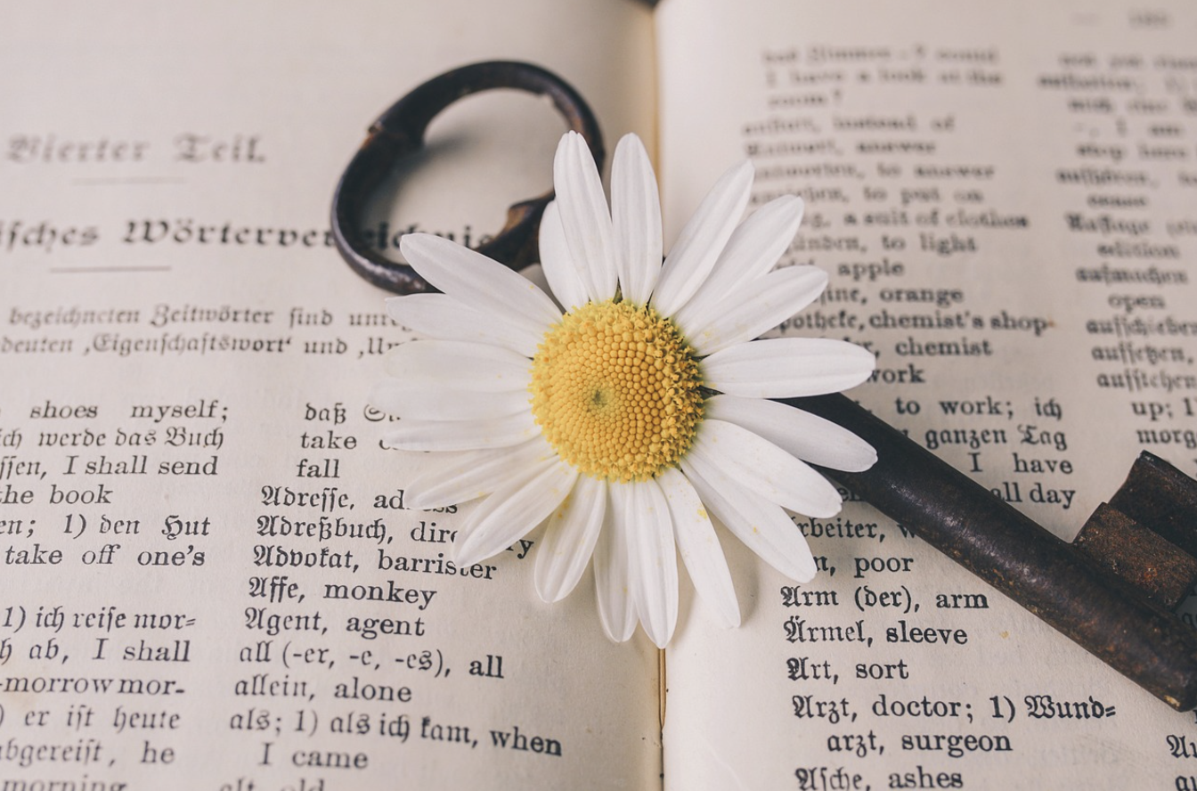 수면, 운동, 영양 – 두뇌 최적화를 위한 3대 원칙