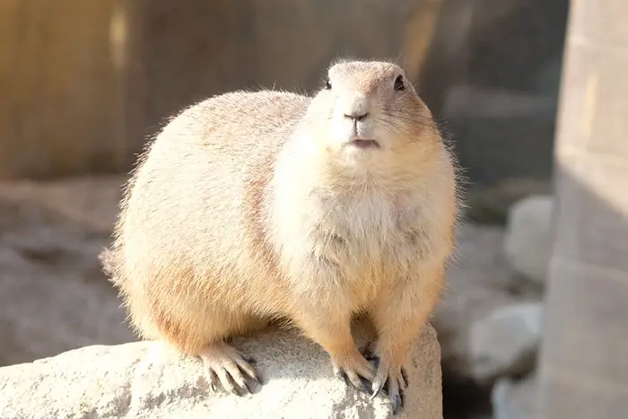 순천만-국가정원-입장료-운영시간-요금