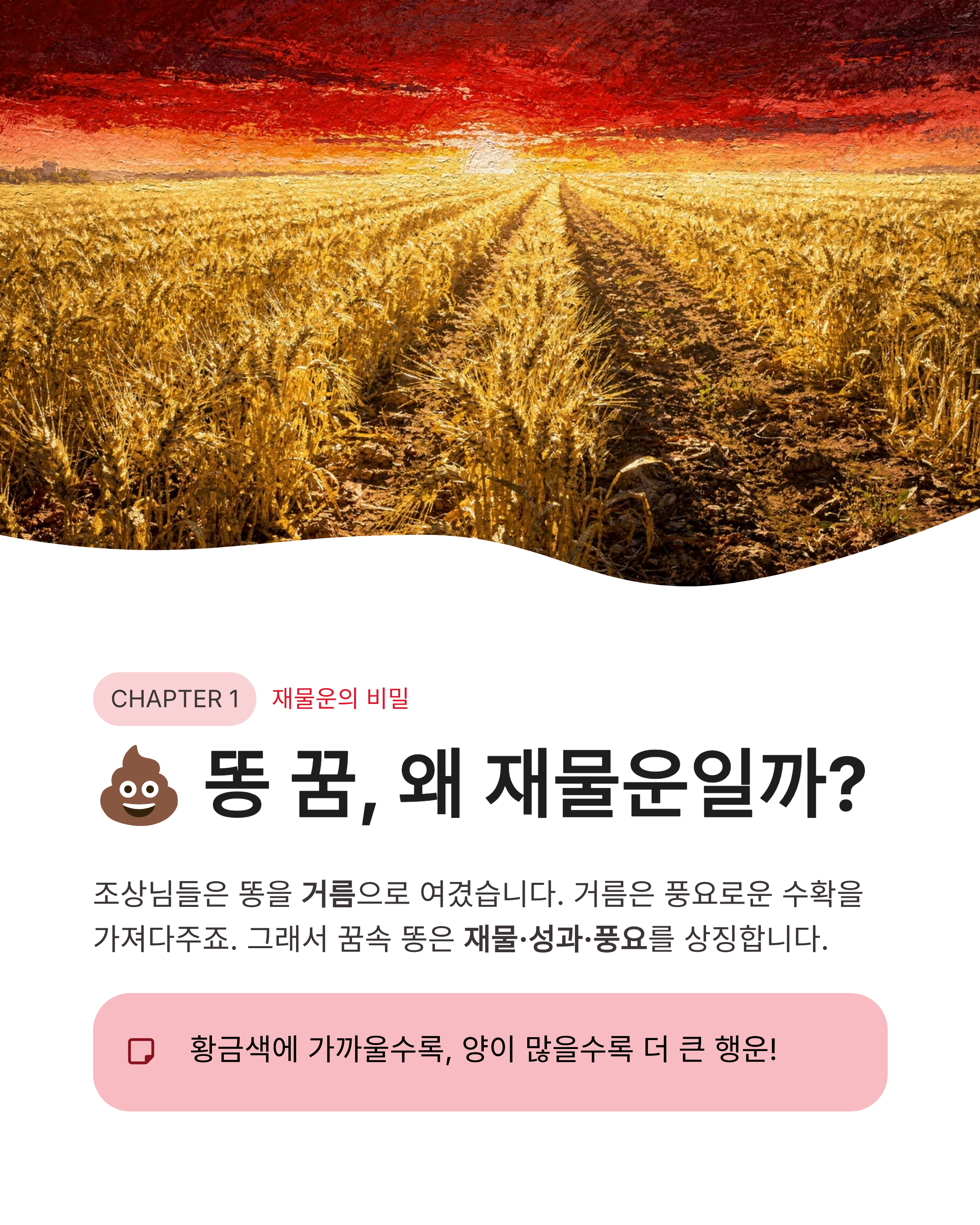 똥 꿈 해몽: 로또 당첨의 징조? 황금똥 만지는 꿈부터 밟는 꿈까지 대박 길몽 총정리! 💰✨