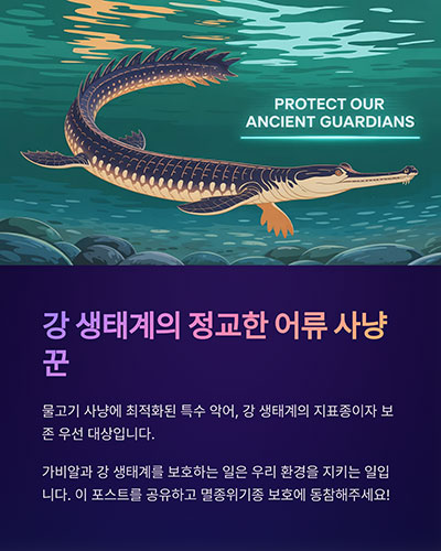 강 속 생태계의 정교한 어류 사냥꾼