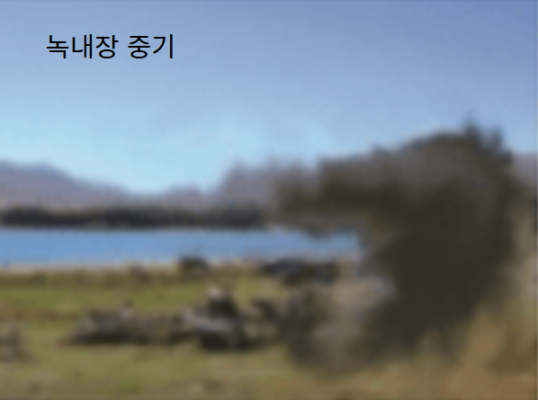 녹내장 증상 - 녹내장 중기 시력