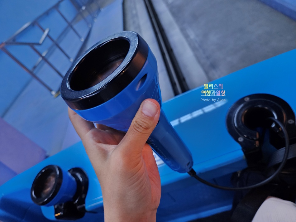 도쿄 디즈니랜드 티켓 가격 패스트트랙 어플 DPA 미녀와 야수 인기 어트랙션 후기