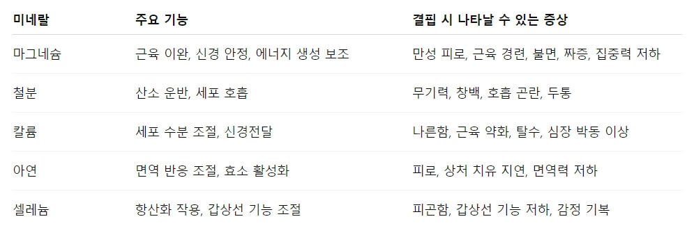 에너지 대사에 핵심인 주요 미네랄들