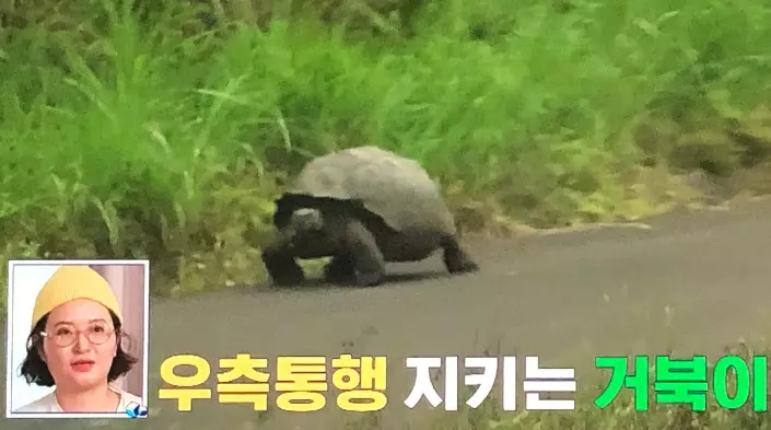 갈라파고스