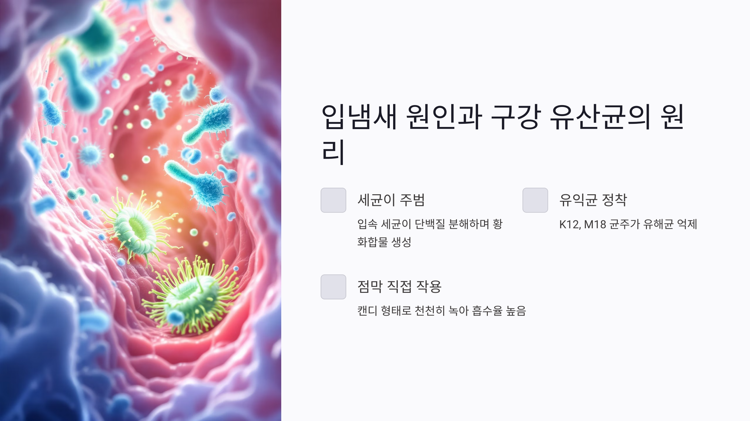 입냄새 원인부터 잡는 구강 유산균 캔디의 원리