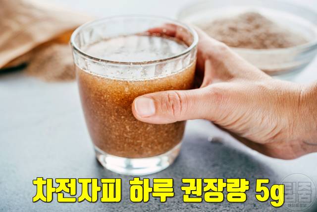차전자피 효능 부작용 하루권장량 매일