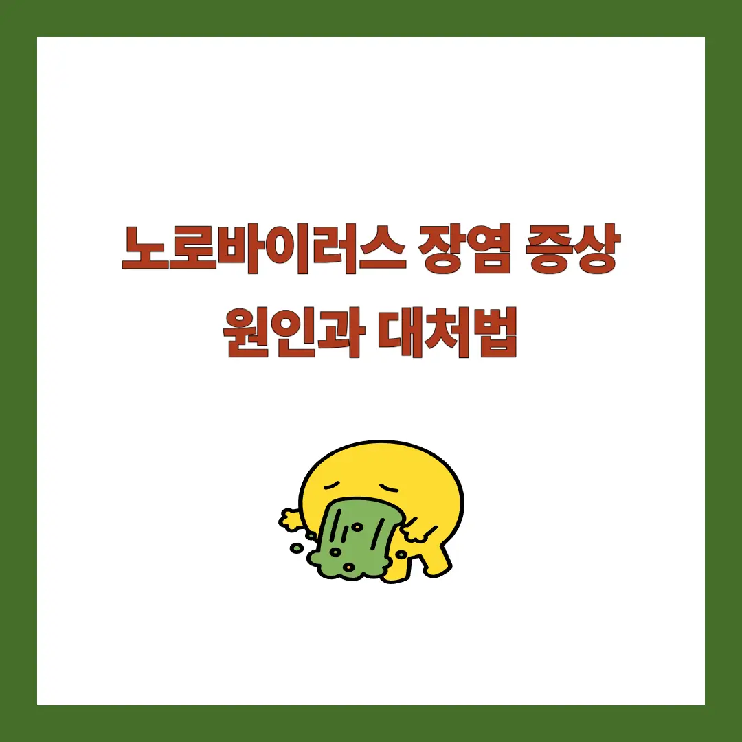 노로바이러스 장염 증상