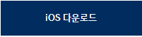 ios블루링크앱