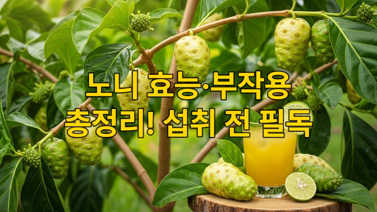 싱그러운 노니 나무와 탐스러운 노니 열매, 그리고 건강한 황금빛 노니 주스가 놓인 모습