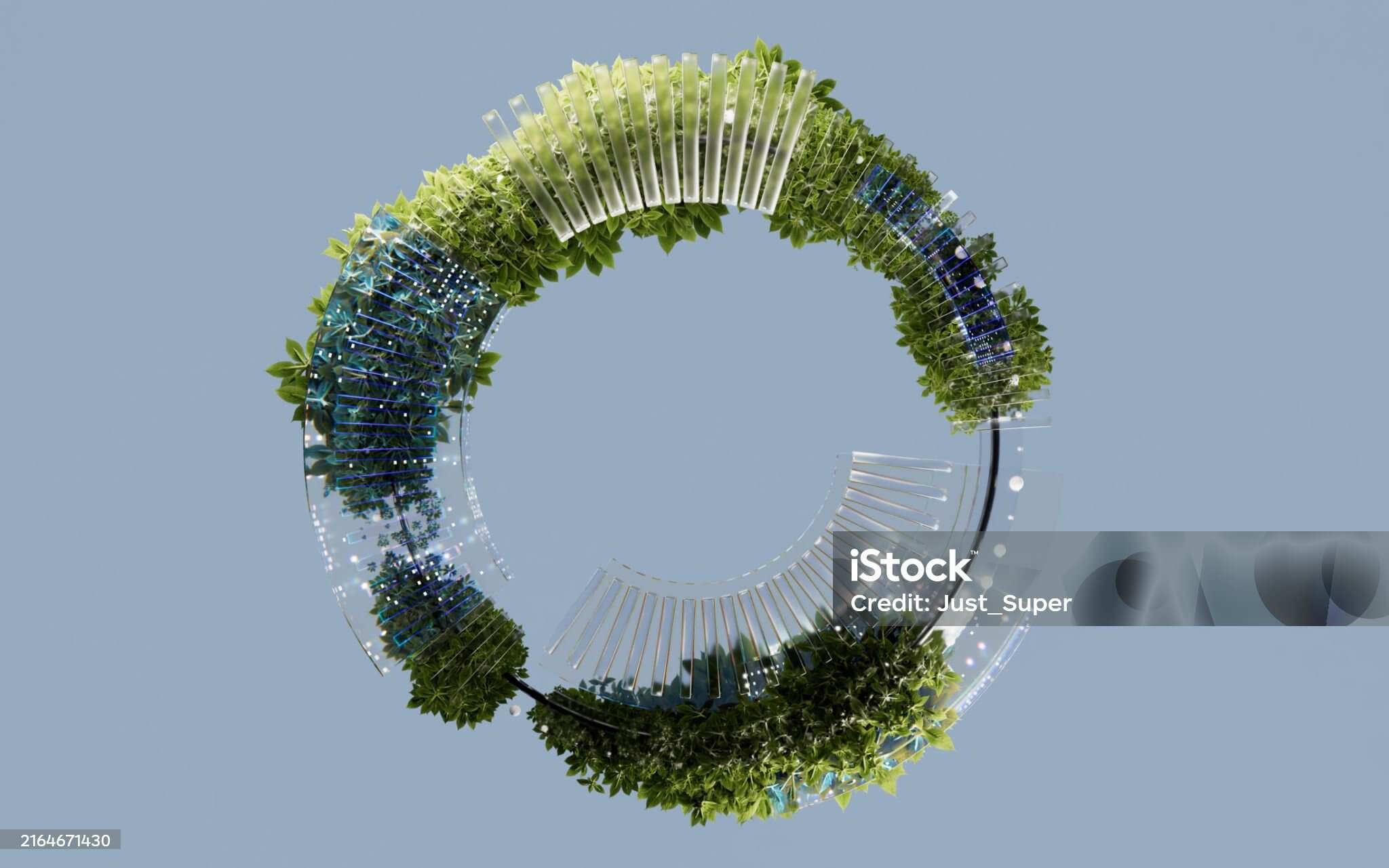 베란다에서 마이크로 가드닝 시작 식물 선택