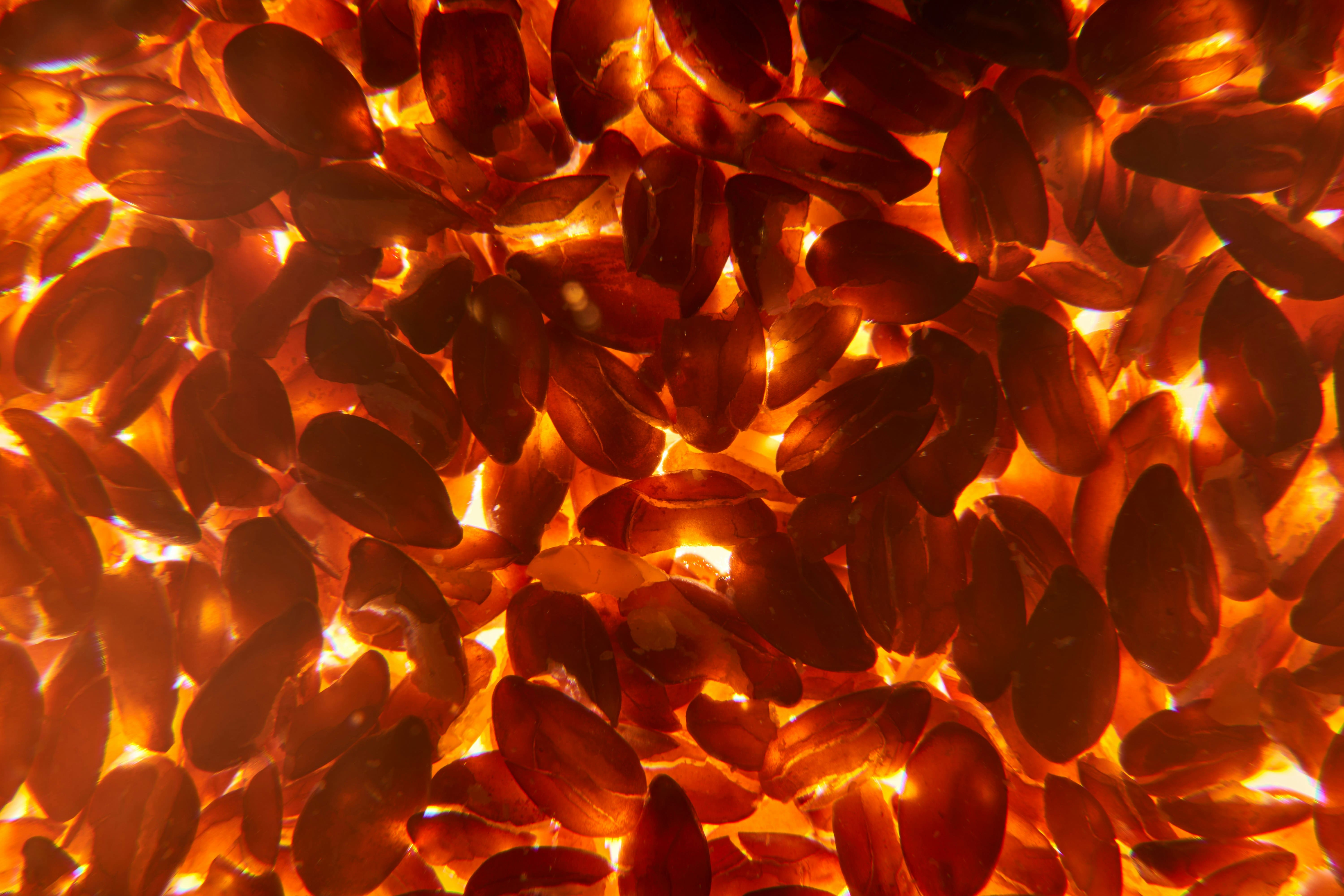 아기 철분 언제부터 필요할까? 월령별 기준 총정리