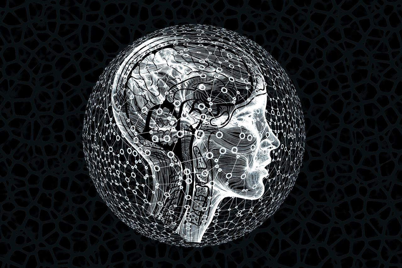 AI 성능을 결정짓는 요인 관련 이미지