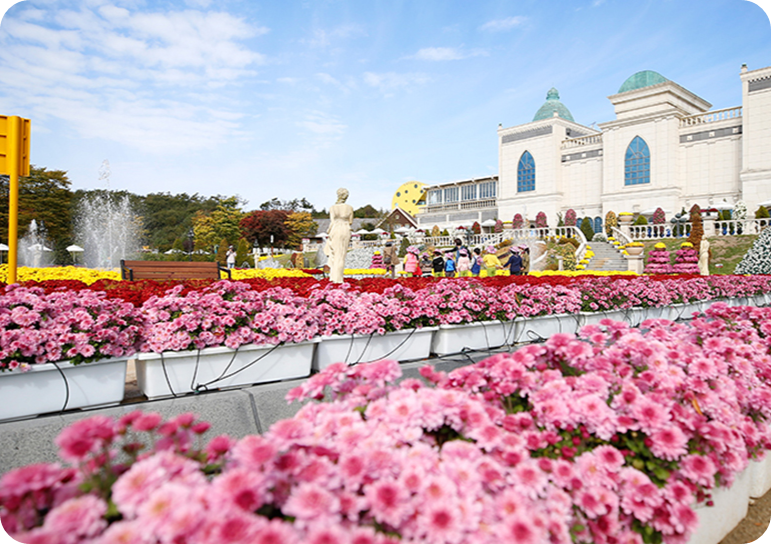 2025전북임실치즈축제관련사진