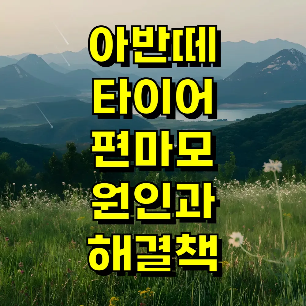 아반떼 타이어 편마모 원인과 해결책