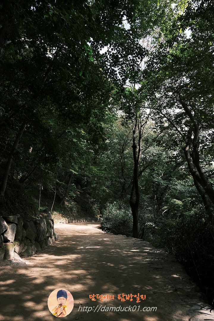 석굴암 가는 길