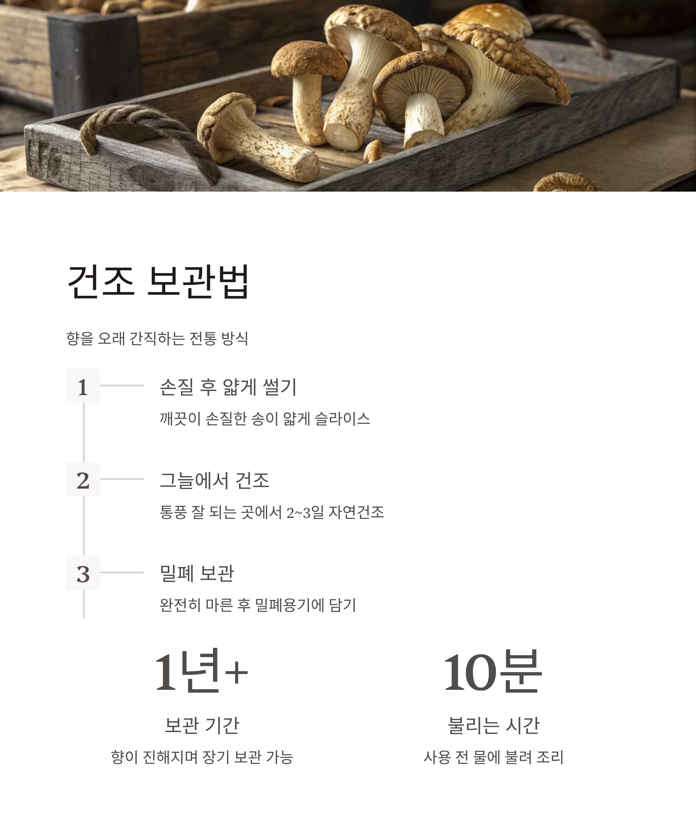 자연산 송이버섯 보관법 완벽정리｜향과 식감 그대로 오래 보관하는 비결