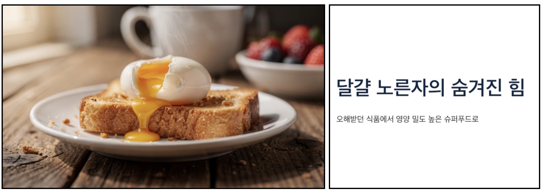 달걀 노른자 효능