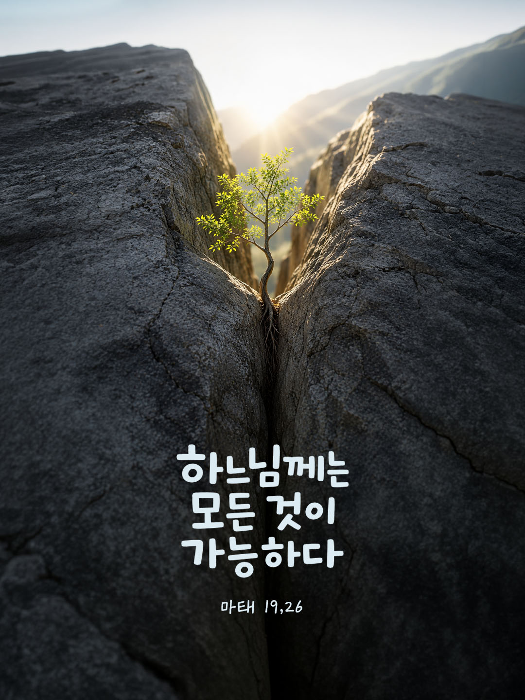 오늘 말씀카드 마태오복음 19장 26절 성경구절 이미지