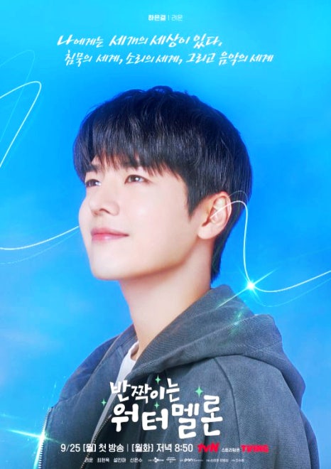 반짝이는 워터멜론