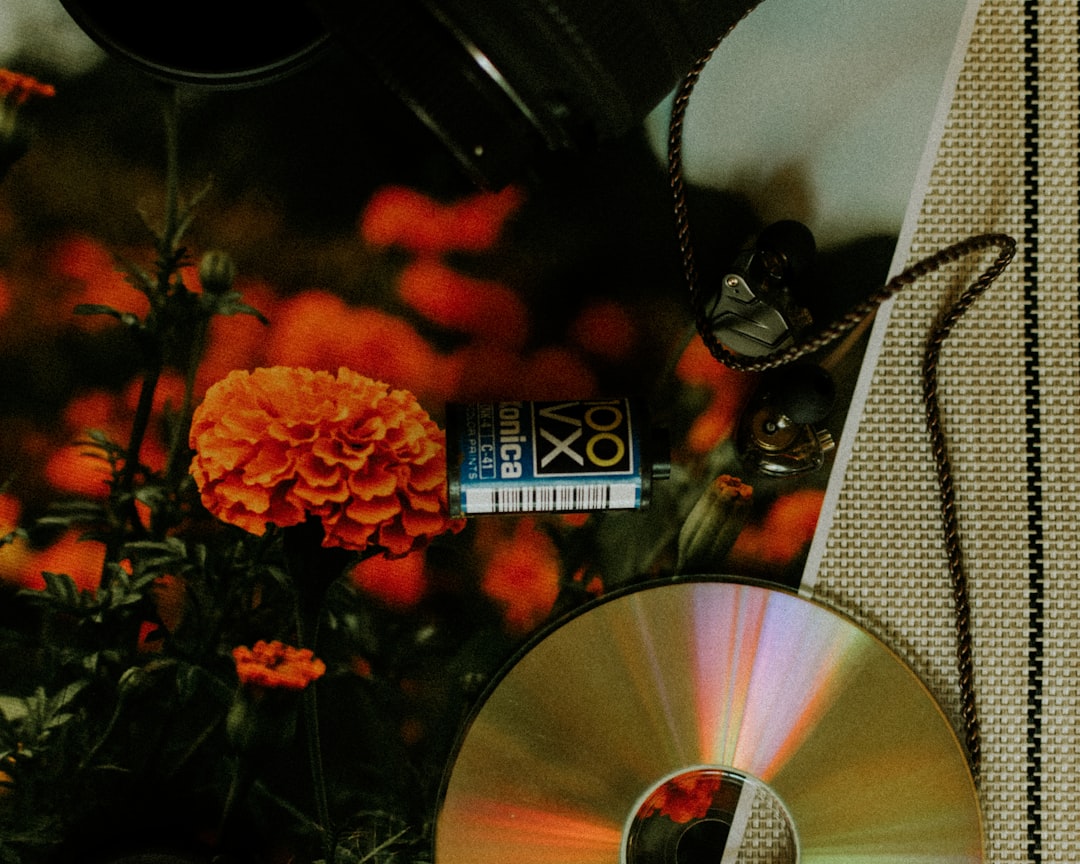 Soundtrack.