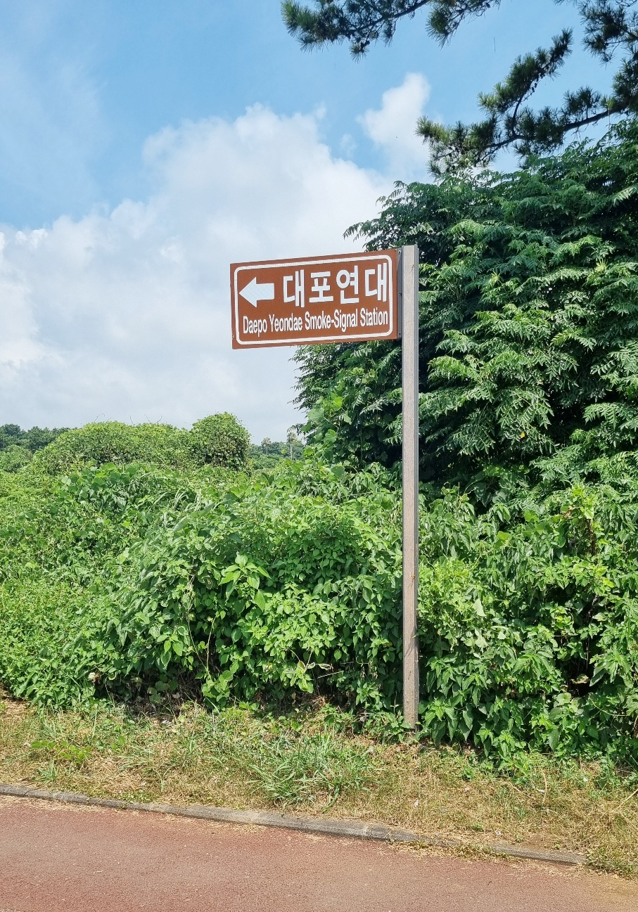 제주 도리빨