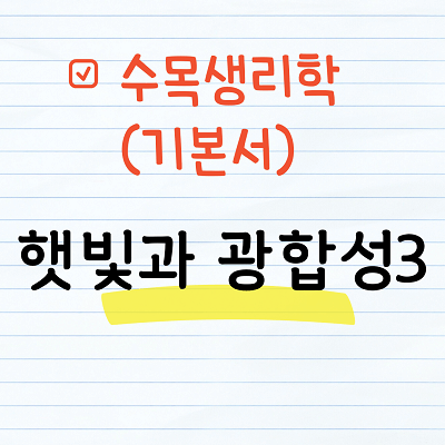 수목생리학 - 햇빛과 광합성