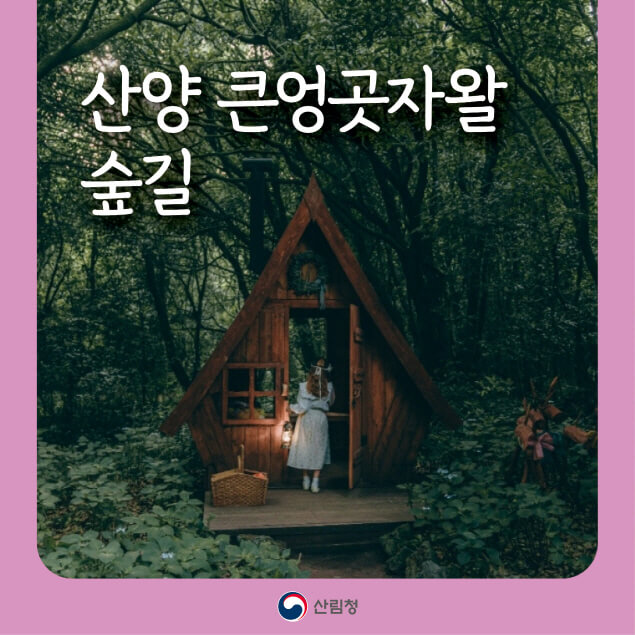 [명품숲길 50선] 산양 큰엉곶자왈숲길, 옛길과 숲이 살아 있는 5km 에코힐링