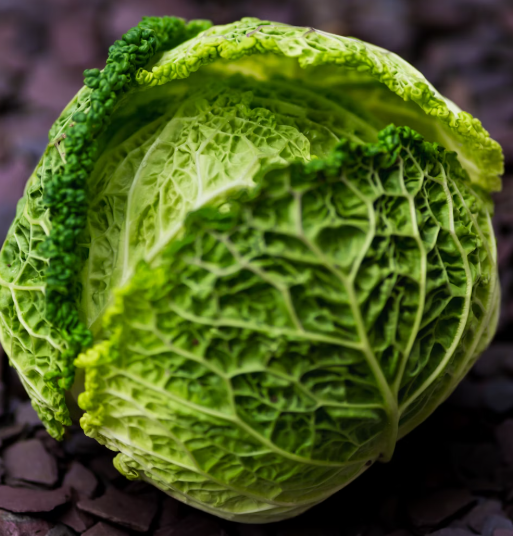 양배추 효능과 부작용 칼로리