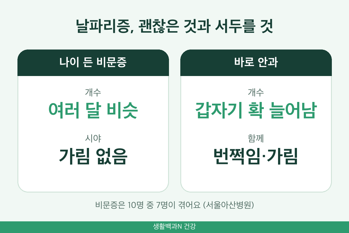비문증과 망막박리 차이 날파리 갑자기 늘어남 번쩍임 시야 가림