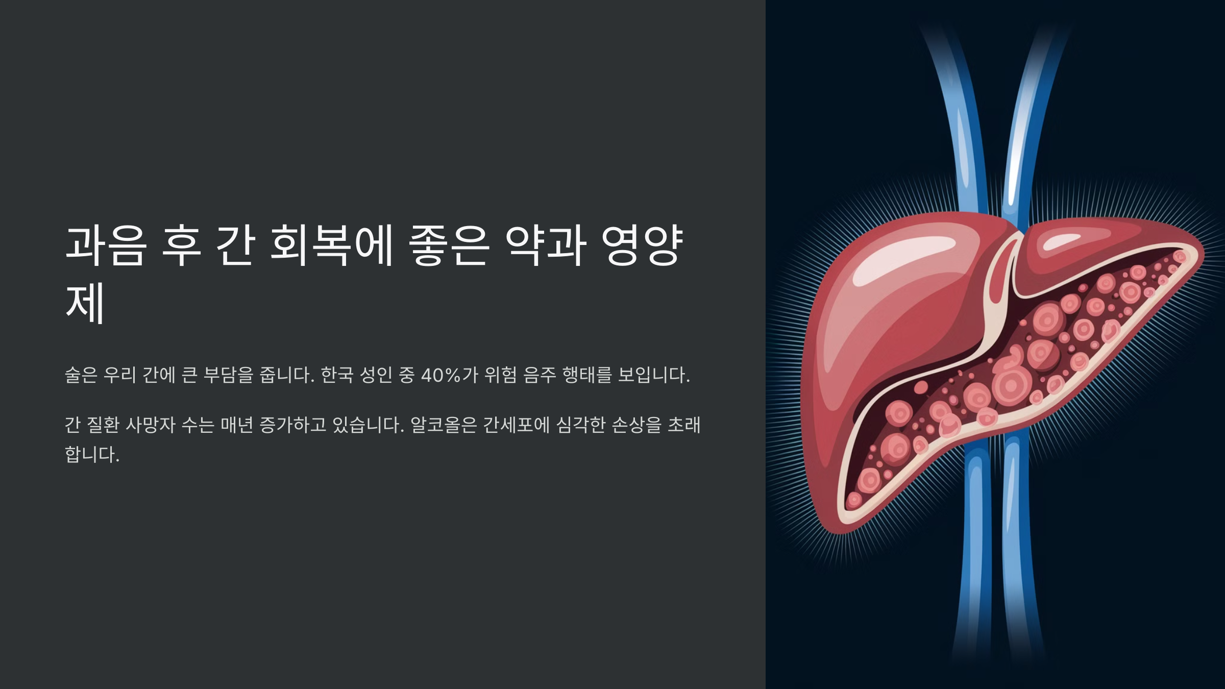 과음 후 간 회복에 좋은 약과 영양제