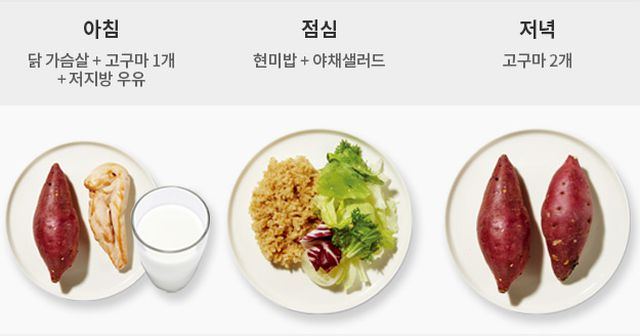 세끼식단