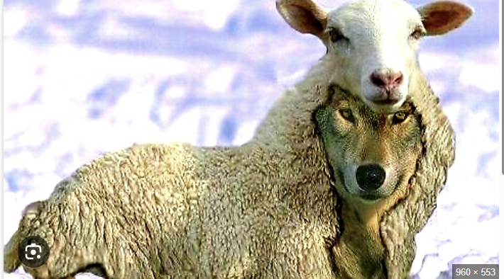 양의 탈을 쓴 거짓예언자