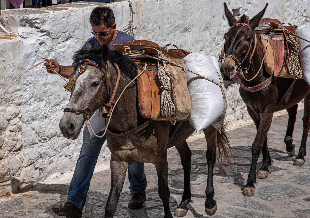 직장인 맞춤형 배달앱 비교 (직장인, 점심, 배달앱) 관련 사진