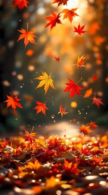 화담숲 단풍여행