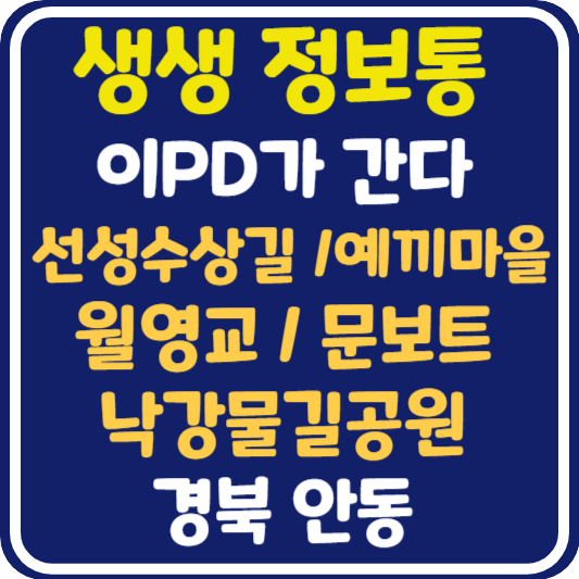 생생 정보통 안동 선성수상길, 예끼마을, 월영교, 문보트, 낙강물길공원 정보 안내 : 이PD가 간다