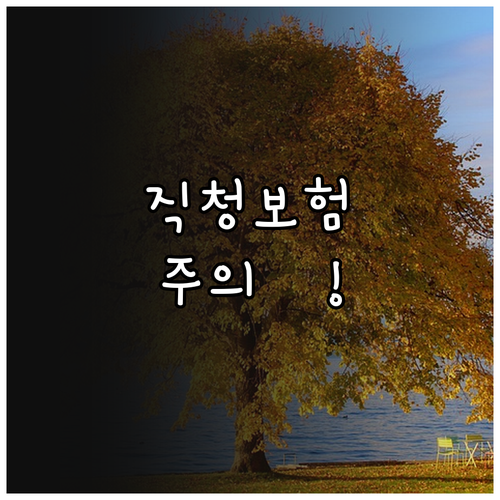 병원 직접 청구 가능한 펫보험 비교 ..