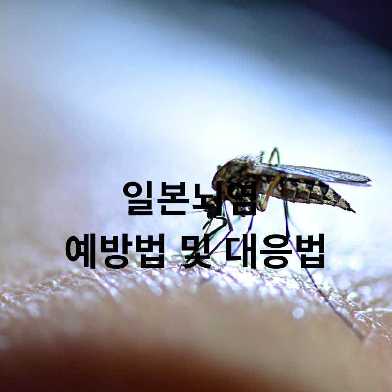 일본뇌염 증상부터 예방법