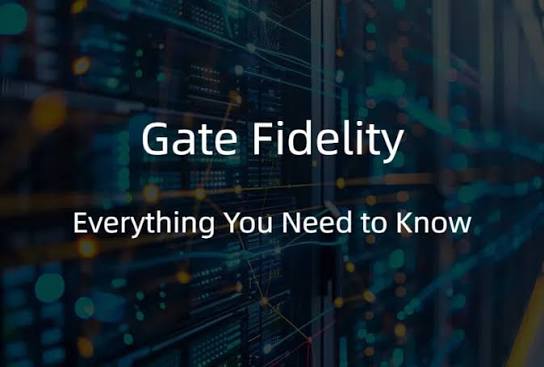 Gate Fidelity