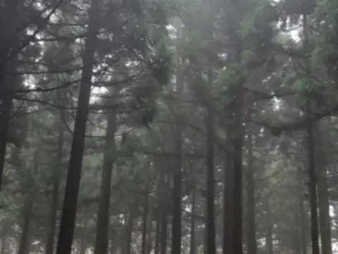 제주도-가을여행