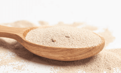 맥주효모의 효능