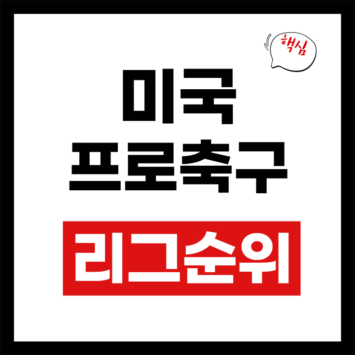 미국 프로축구
