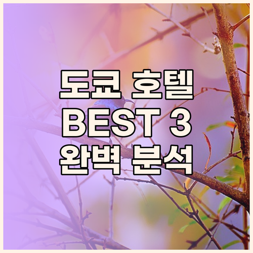 도쿄 호텔 추천 도쿄돔 호텔, 호텔 
