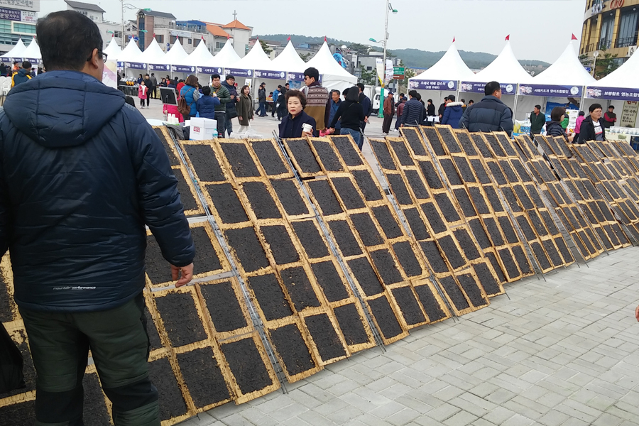  보령 김축제 프로그램