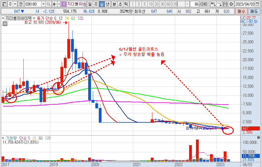 4월 25일 지더블유바이텍 주가 월봉 차트 분석