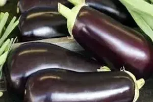 가지